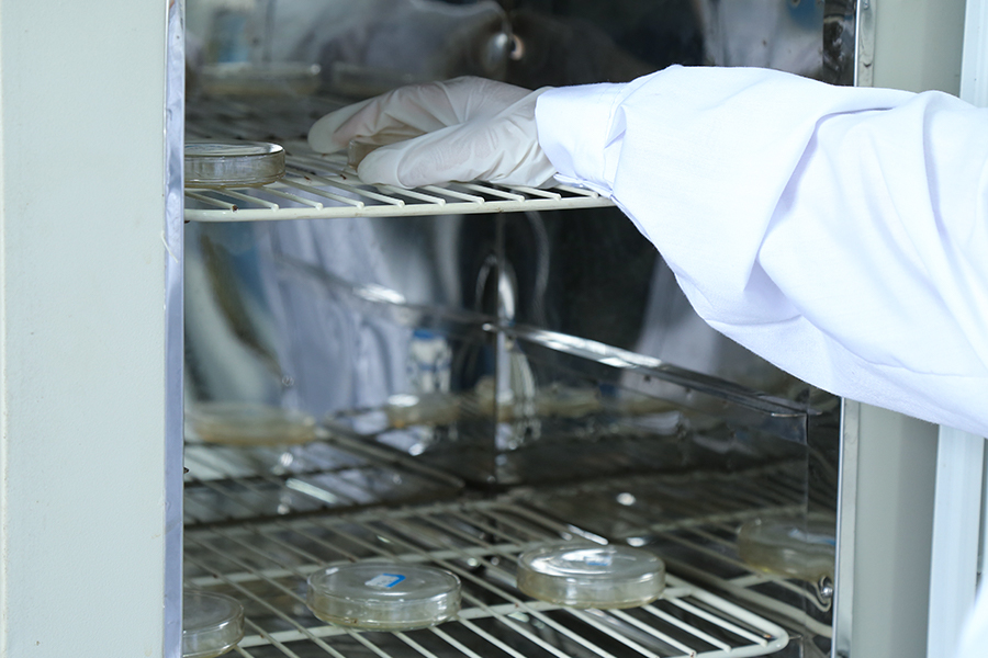 Nantong Boda Biochemistry Co., Ltd.
